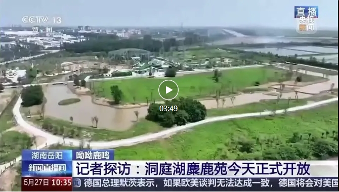 央視報(bào)道 | 易大設(shè)計(jì)EPC項(xiàng)目-湖南東洞庭湖麋鹿和鳥類救助避難中心正式開園