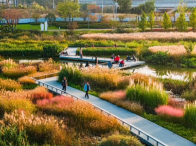 秋光為伴，我們與張村河共繪新景